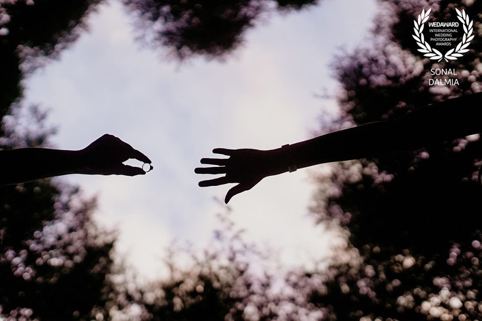 custom_logo_SONAL-DALMIA-india-50collection-wedaward-com_1573726747