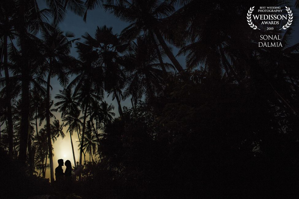 custom_logo_SONAL-DALMIA-india-50collection-wedisson-com_1559313476