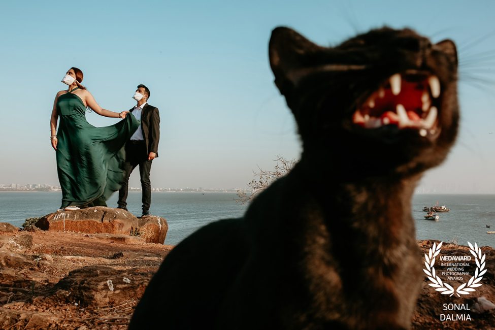 custom_logo_SONAL-DALMIA-india-54collection-wedaward-com_1584254047